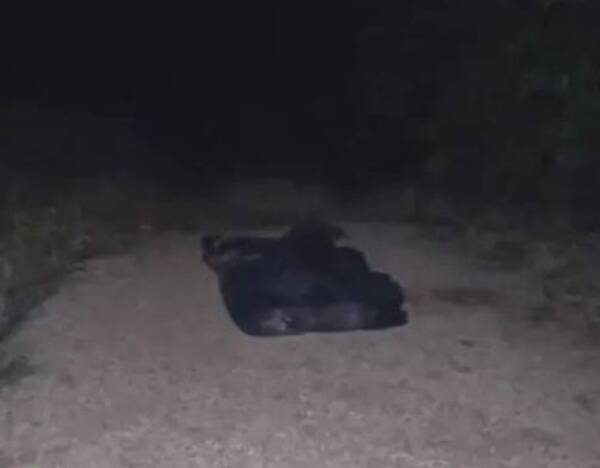 Crónica / Con una mochila llena de piedras en la espalda encuentran el cuerpo sin vida de un joven