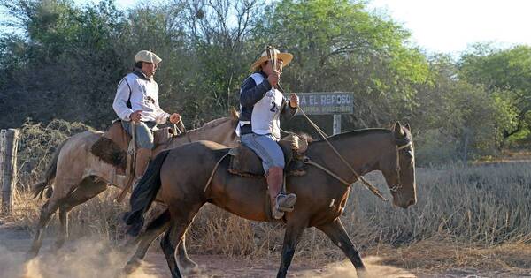 La Nación / Loma Plata: hay gran interés en los caballos de selección que se subastarán hoy en el remate criollo
