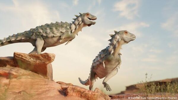 Descubren extraña especie de dinosaurio acorazado en Argentina: el primero de su clase