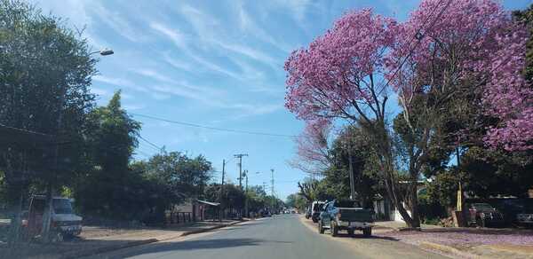 Anuncian para Misiones un lunes caluroso y con posibilidades de lluvias por la tarde