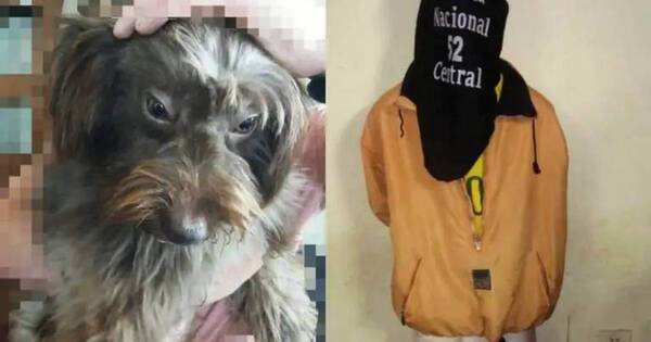 La Nación / Vecinos detienen a un joven por maltrato animal