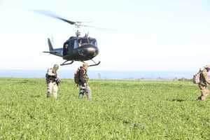 Diario HOY | Más de 500 toneladas de marihuana destruidas en Alianza Paraguay - Brasil