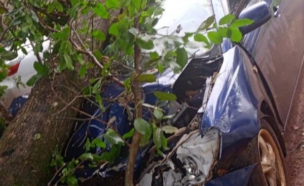 Árbol cayó sobre vehículos en patio de subcomisaría