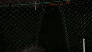 Ladrones balearon en la cara a dueño de casa