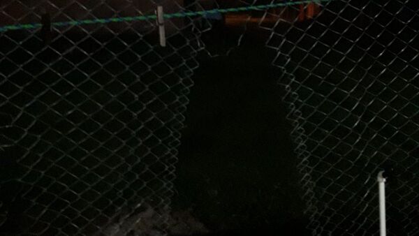 Ladrones balearon en la cara a dueño de casa