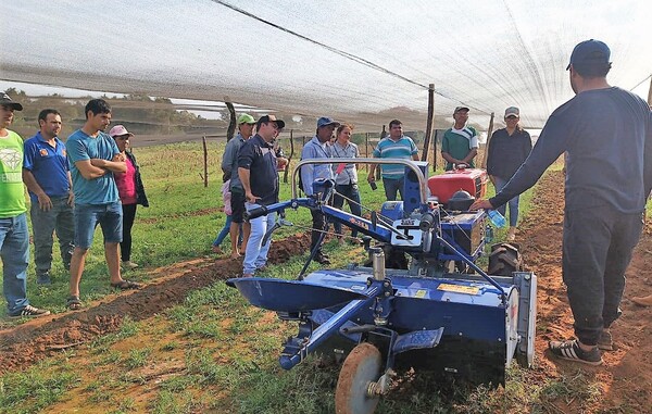 Agricultores obtienen arraigo mediante programa de apoyo productivo asociado a nuevo tramo vial - .::Agencia IP::.