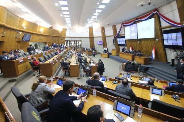 Tarde ajetreada en Diputados: Interpelarán al presidente del IPS y debatirán sobre tarifa de Itaipú - ADN Digital