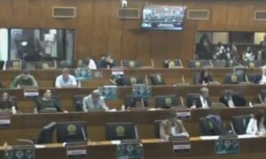 Diputados interpelan a titular del IPS - C9N