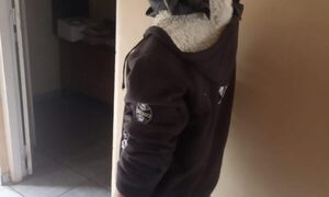 Detienen a supuesto abusador de niños en Mallorquín
