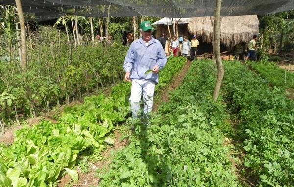 Resaltan confidencialidad en censo agropecuario
