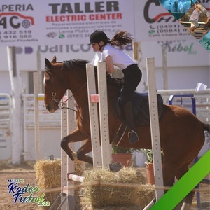 Exitoso despliegue de la Expo Rodeo Trébol a tres días de su apertura