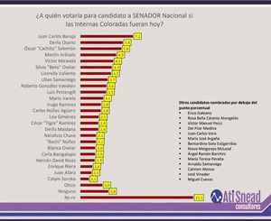 Vaesken entra en lista al Senado y ZI ni aparece, según encuesta | DIARIO PRIMERA PLANA