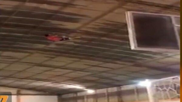 Temeraria acción para bajar una pelota de un tinglado