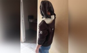 Detienen a un joven que habría abusado de una niña