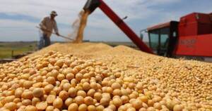 La Nación / El USDA proyecta una mayor producción de la soja y el trigo