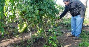 La Nación / Resaltan buena calidad y certificación de productos