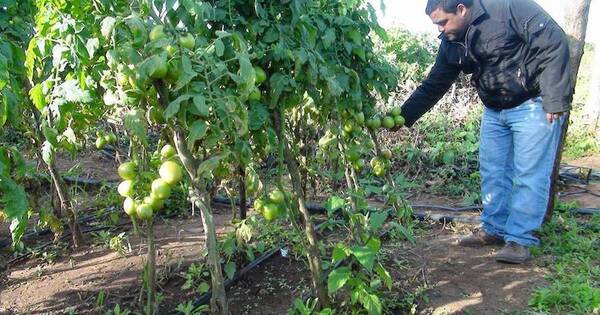 La Nación / Resaltan buena calidad y certificación de productos