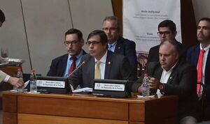 IPS: Bataglia da inverosímil réplica y culpa de las carencias al covid-19 - Nacionales - ABC Color