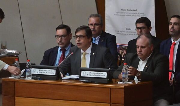 IPS: Bataglia da inverosímil réplica y culpa de las carencias al covid-19 - Nacionales - ABC Color