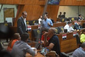 Diputados tratarán norma que obliga a usar escáneres en puertos públicos y privados  - Política - ABC Color