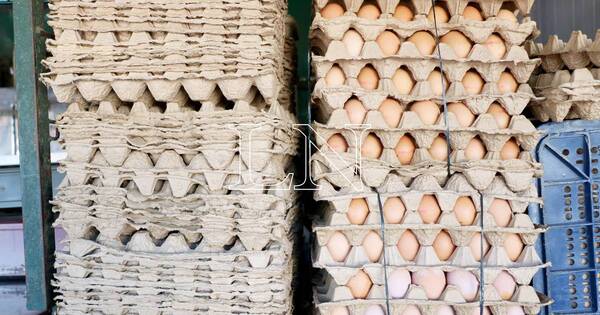 La Nación / China: ola de calor genera suba de precio de huevos