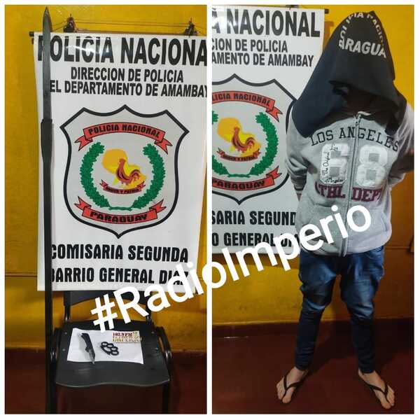 Mató un loro que tenían como mascota en la casa y luego atacó a su padre con una lanza - Radio Imperio