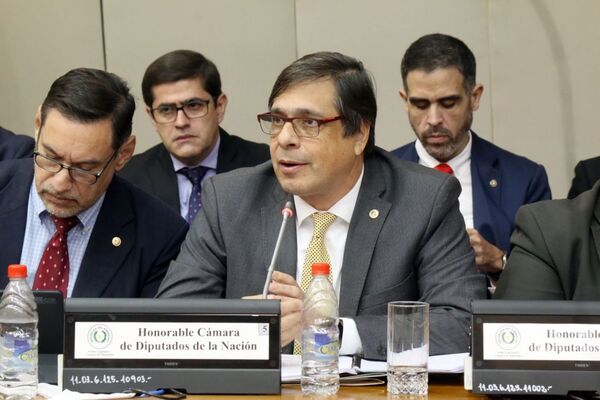 Diputados interpelaron por más de 6 horas al titular del IPS - El Trueno