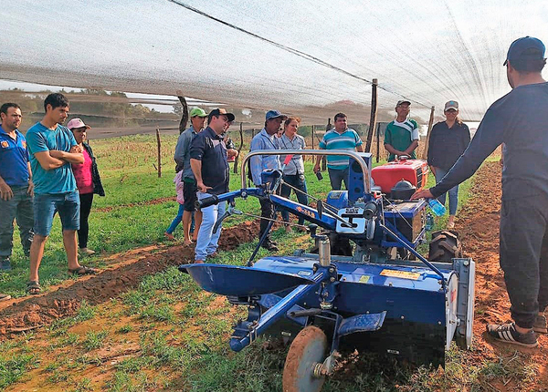 Agricultores obtienen arraigo mediante apoyo productivo asociado a nuevo tramo vial