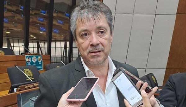 Voto de censura: Presidente de Diputados aclara que hay 20 días de plazo para expedirse sobre gestión de IPS
