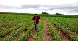 La Nación / Ante aumento elevado de precios de fertilizantes, plantean alternativas sostenibles