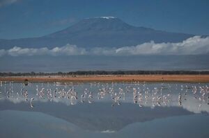 Conexión a internet permitirá compartir en directo ascensiones al Kilimanjaro - Viajes - ABC Color