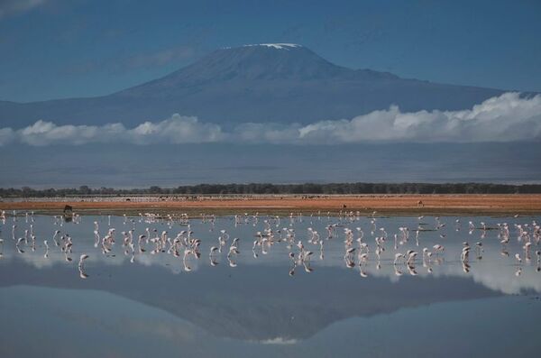 Conexión a internet permitirá compartir en directo ascensiones al Kilimanjaro - Viajes - ABC Color