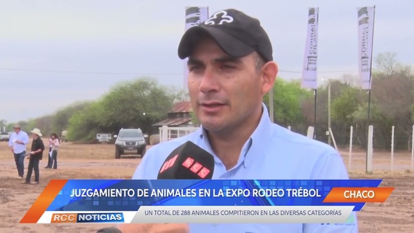 Juzgamientos de ejemplares toman protagonismo en la Expo Rodeo Trébol