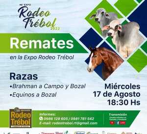 RCCTV trasmitirá en vivo los remates de las razas Brahman  y equinos en la Expo Rodeo Trébol