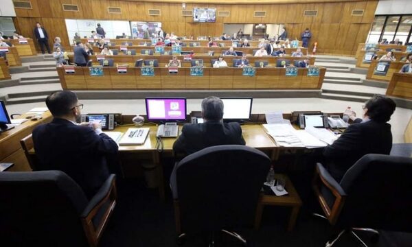 Diputados resolvieron interpelar al director de Itaipú y de la ANDE