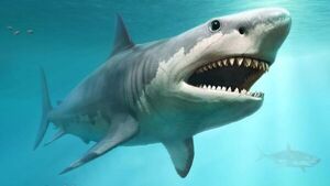 Diario HOY | El tiburón megalodón era más rápido, grande y voraz de lo pensado