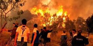 Asciende a 26 la cifra de muertos por los incendios en el norte de Argelia