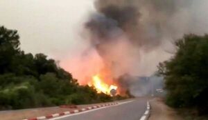 Veintiséis muertos por incendios en un día en Argelia - Mundo - ABC Color