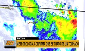 Meteorología confirma que ocurrió un tornado en San Joaquín | Telefuturo