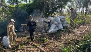 Paraguay y Brasil eliminaron 610 toneladas de marihuana en la frontera