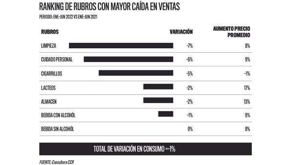 Estos son los rubros con mayores caída de ventas del semestre | Análisis Macro | 5Días