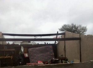 Concepción: tormenta destechó viviendas, derribó árboles y columnas de la ANDE - Nacionales - ABC Color