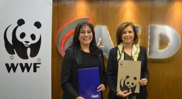 La AFD y WWF promoverán productos para el financiamiento forestal