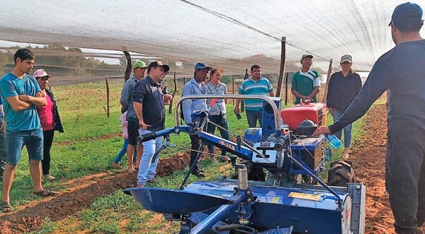 Agricultores obtienen arraigo mediante apoyo productivo asociado a nuevo tramo vial