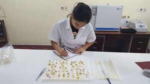 El Centro Latinoamericano de Biotecnología ofrece oportunidad de formación para paraguayo | Locales | 5Días
