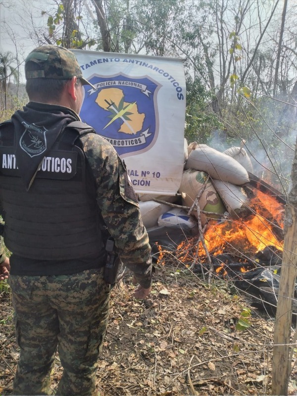 Destruyen más de 1.200 kilos de marihuana del Parque Nacional Paso Bravo