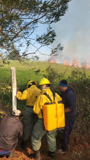 Reportan incendio forestal detrás de la “Albiroga” en Ypané - Nacionales - ABC Color