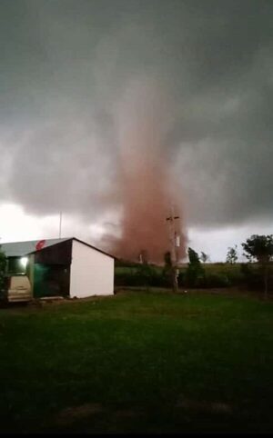 SEN asiste a familias afectadas por tornado en San Joaquín - El Trueno