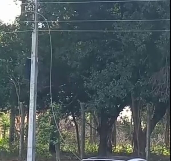 Cable suelto al lado de una escuela - Crónicas Ciudadanas - ABC Color