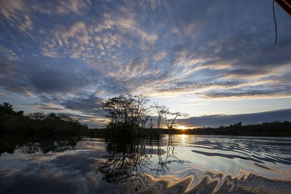 La ruta al Yasuní, un viaje al corazón de la Amazonía de Ecuador - Viajes - ABC Color